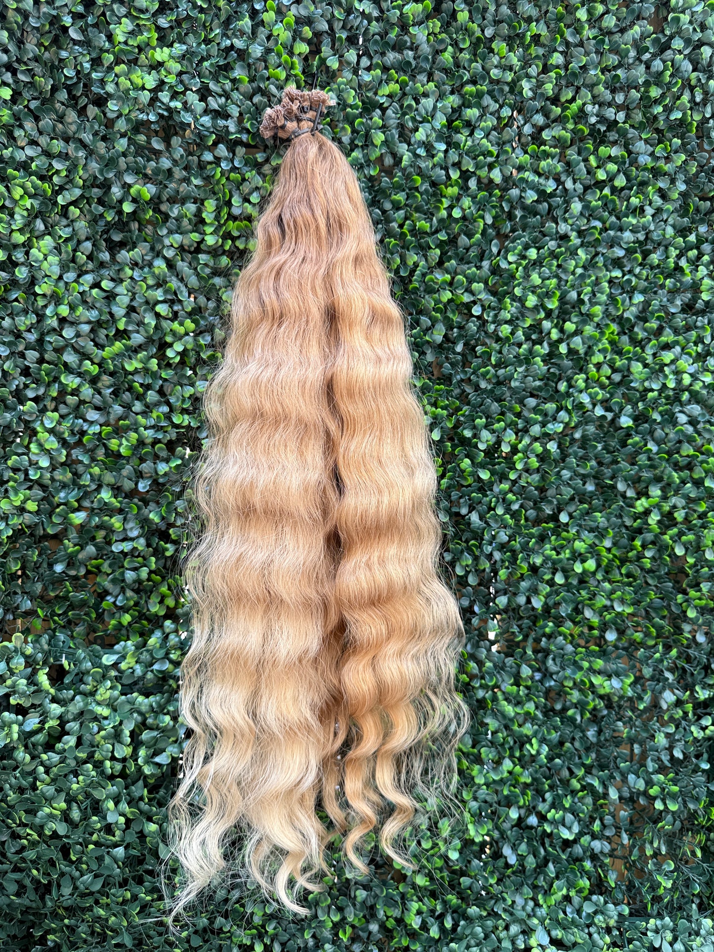 COLORED CURLY 61cm : 147g