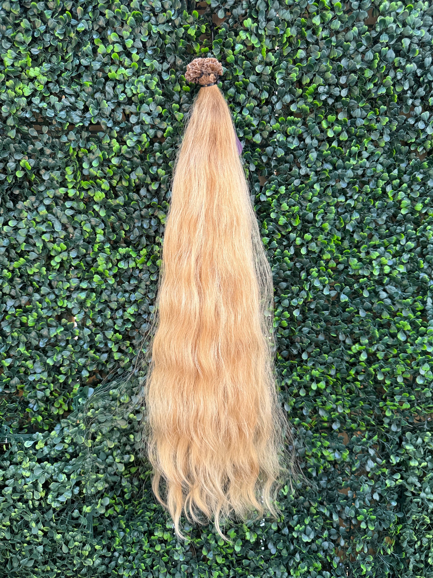 COLORED WAVY 60cm : 100g