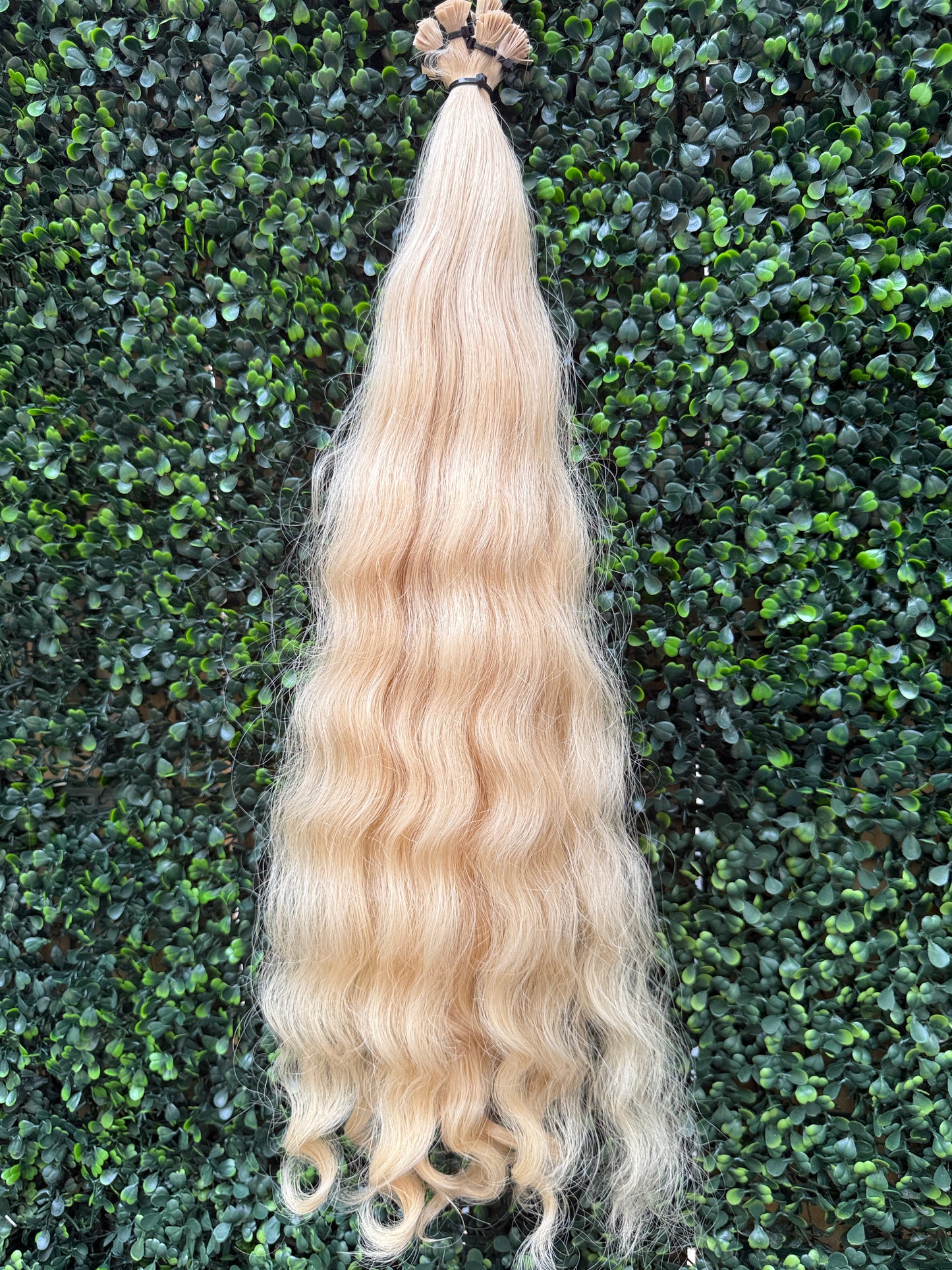 COLORED CURLY 48cm : 99g