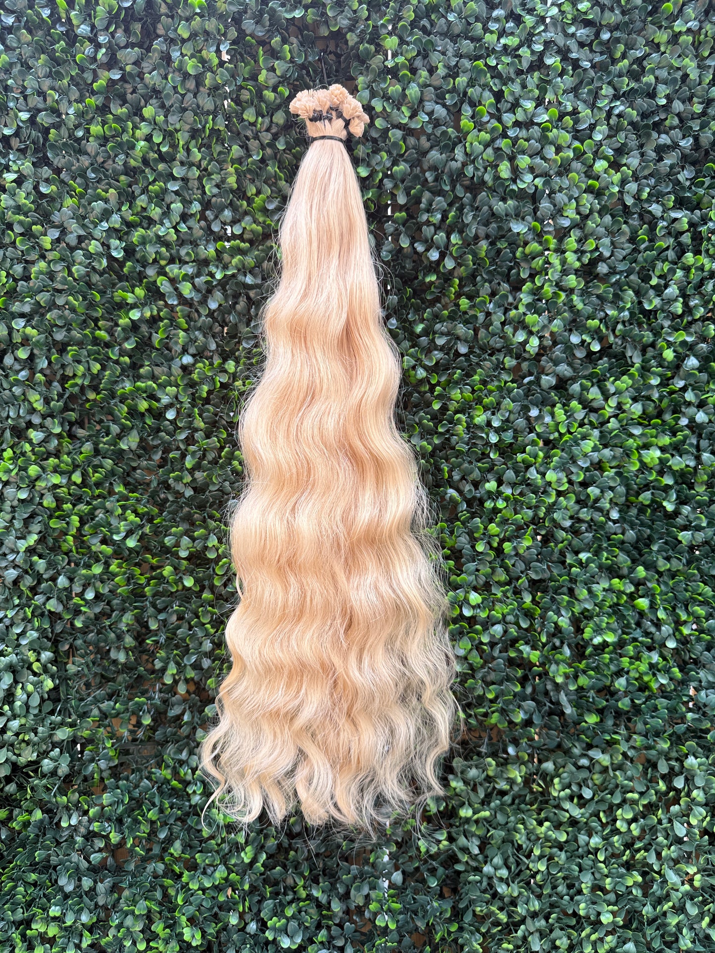 COLORED CURLY 55cm : 165g