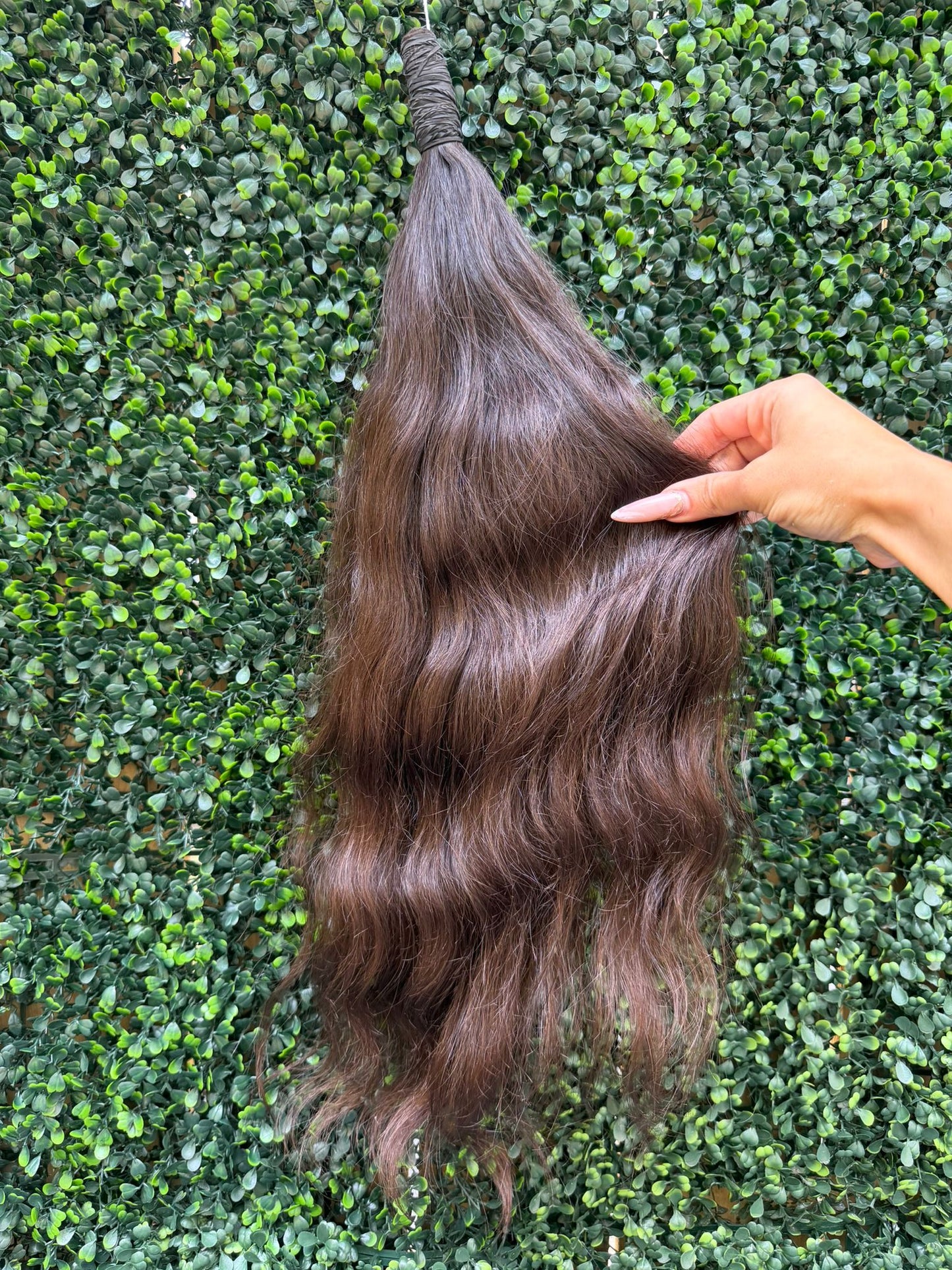VIRGIN SLIGHT WAVE 60cm : 143g
