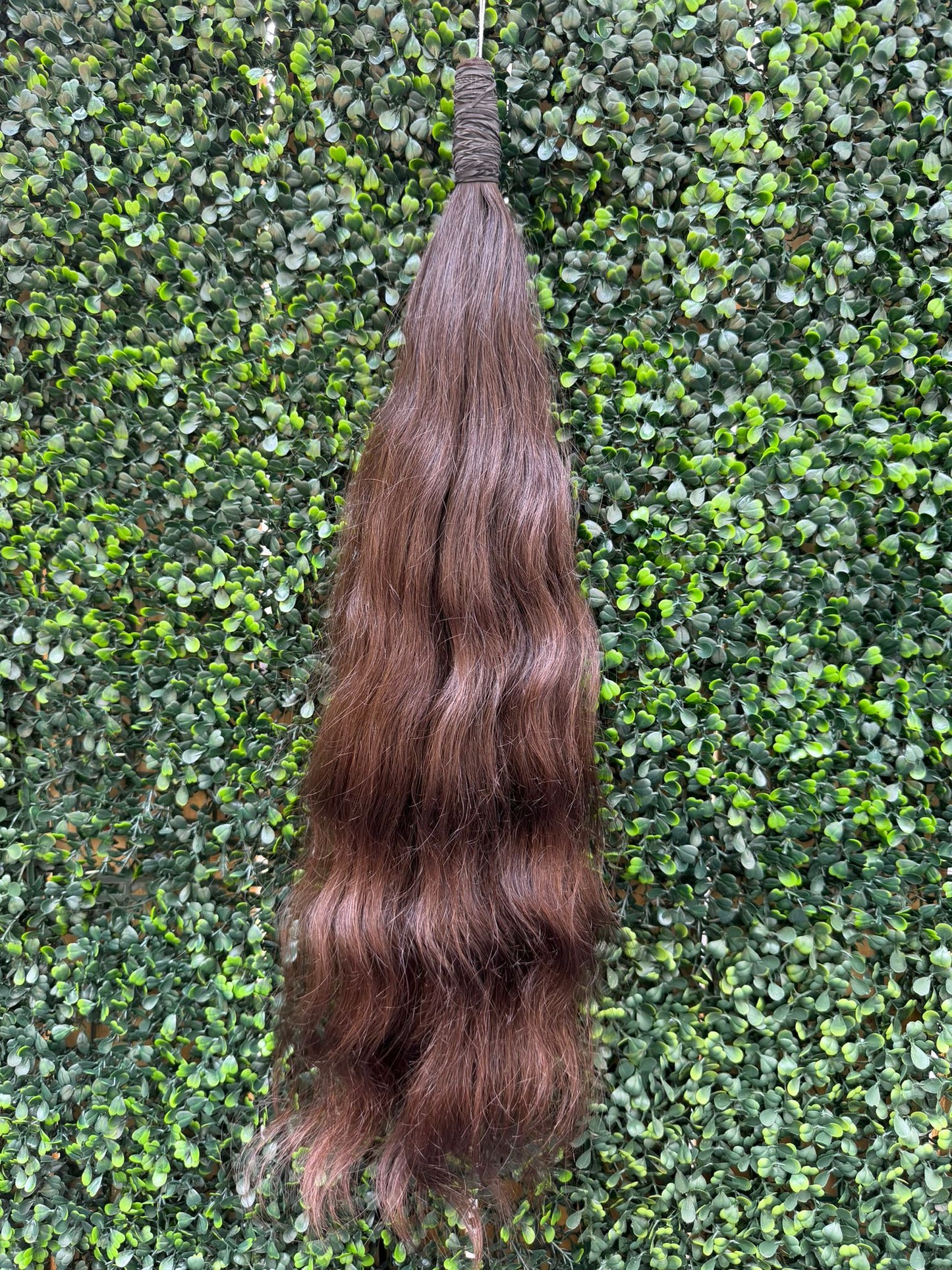 VIRGIN SLIGHT WAVE 60cm : 143g