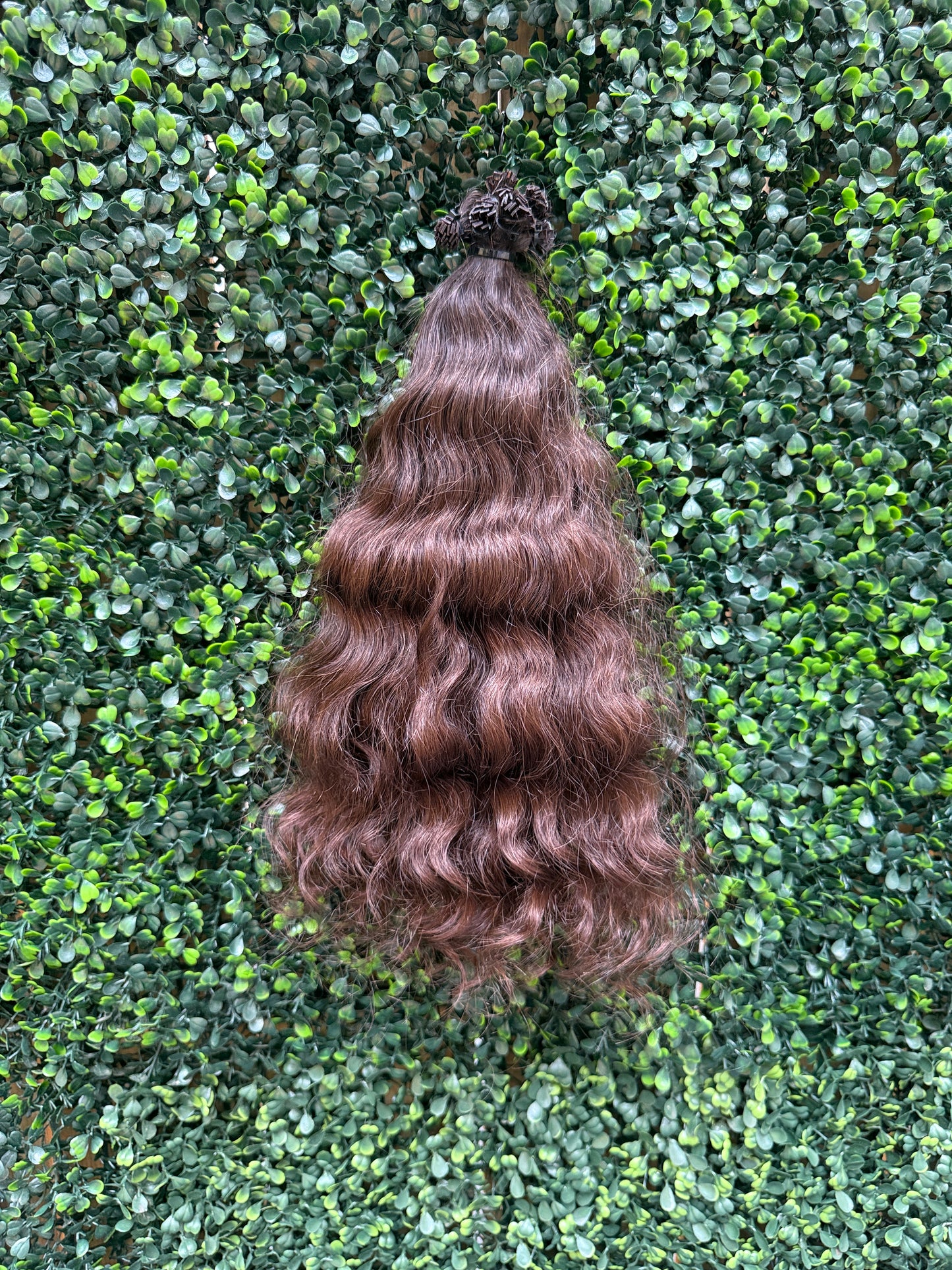 VIRGIN CURLY 40cm : 100g