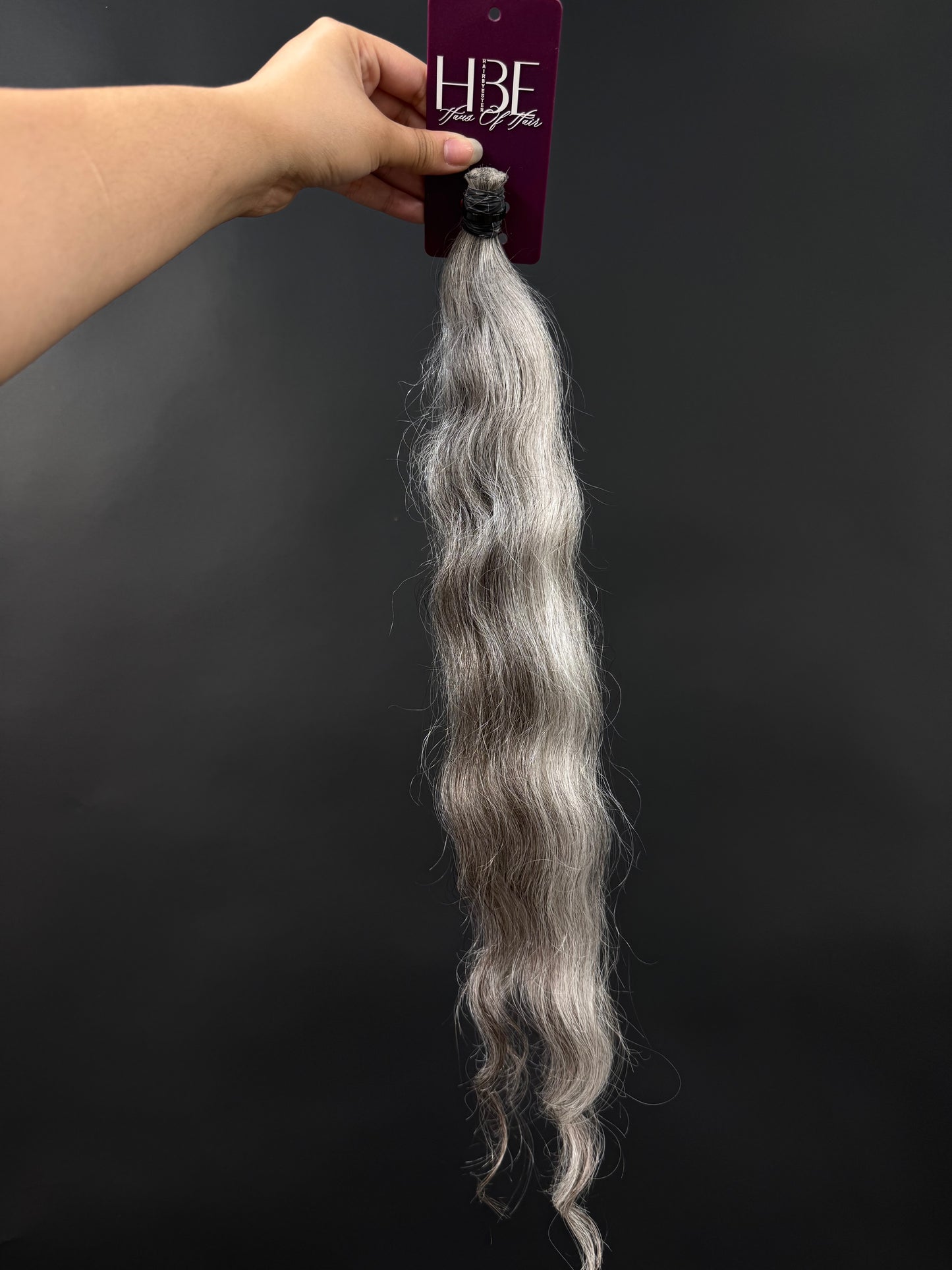BULK VIRGIN SLAVIC CURLY 51cm : 45g